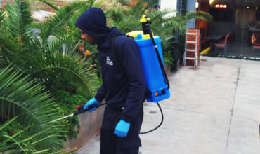 Disinfection services in Lebanon