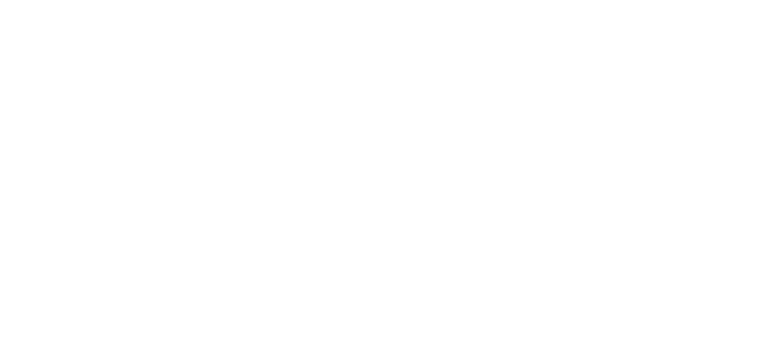 Dana Digital Marketing